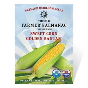 the old farmer's almanac heirloom sweet corn seeds (golden bantam) - approx 75 seeds - non-gmo, open pollinated, usa origin
