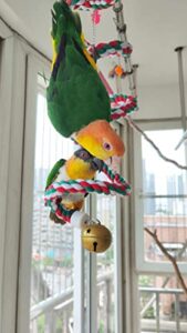 gjrgeg1y rope bungee cotton perch for bird. with large bell climbing toy[1 pack] (118 inches)