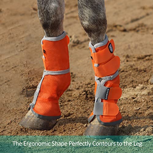 Harrison Howard Horse Fly Boots Perfect Contoured Fit Leg Guards Dense Mesh Boots with Ventilated Comfort Reliable Protection from Summer Elements Set of 4 Vibrant Orange L