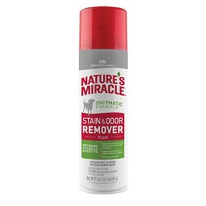 natures miracle stain & odor remover foaming aerosol for dogs, 17.5 oz (p-68340)