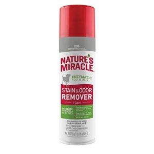 Natures Miracle Stain & Odor Remover Foaming Aerosol For Dogs, 17.5 Oz (P-68340)