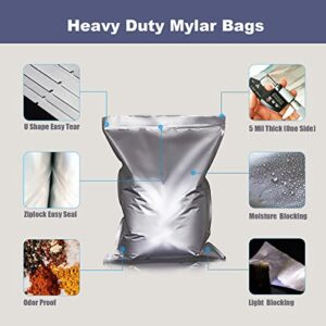 Easom 2 Gallon Mylar bags, Large Mylar Bags for Food Storage 2 Gallon 5 mil Thick Resealable Mylar Bags with Aluminum Foil. (2 Gallon x 20)