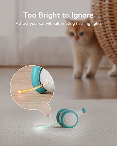 Petlibro Interactive Cat Toys for Indoor Cats, Automatic Cat Toy with LED Lights, Cat Mouse Toys, Smart Sensing Cat Toys, Moving Cat Toy, Smart Electric Cat Toy, USB Rechargeable, Auto On/Off