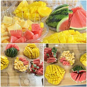 10 Pack Round Appetizer Serving Trays with Lids, 10 Inch Clear Plastic Veggie Fruit Snack Vegetable Food Serving Platters, Disposable Compartments 6 Sectional Catering Trays for Party and Buffet