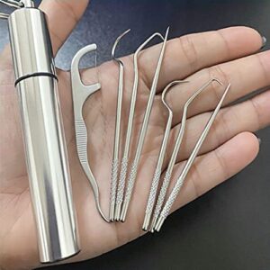 Dental Pick Portable Stainless Steel Tooth Pick Set Reusable Tooth Stains Remover Dental Tool Teeth Cleaning Tools with Holder for Outdoor Picnic, Camping, Travel (7PCS/Set)
