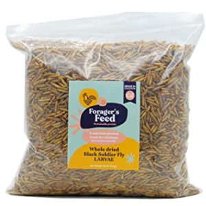 Foragers Feed Whole Dried Black Soldier Fly Larvae, Sustainable Chicken and Livestock Feed for Animal Health, 1 Lb Resealable Bag