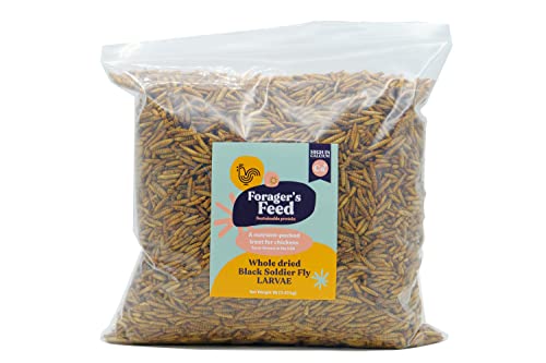 Foragers Feed Whole Dried Black Soldier Fly Larvae, Sustainable Chicken and Livestock Feed for Animal Health, 1 Lb Resealable Bag