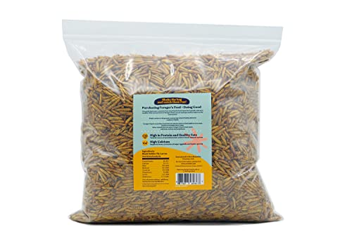Foragers Feed Whole Dried Black Soldier Fly Larvae, Sustainable Chicken and Livestock Feed for Animal Health, 1 Lb Resealable Bag