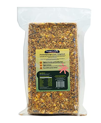 Forager's Feed Black Soldier Fly Larvae Sustainable Cake Mix for Chicken Health, 2.5 Lbs. Bag