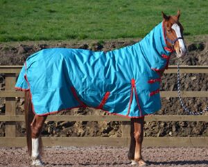 turners heavyweight 350g insulated fill turnout horse rug 600d ripstop with fixed neck (5'9", teal)
