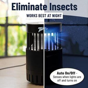 Trap It! Indoor Insect Trap & Indoor Gnat, Fruit Fly, and Mosquito Killer - Indoor Bug Catcher with UV Light, Fan, Bait, and Sticky Glue Boards