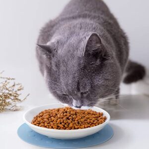 Dorakitten Ceramic Cat Food Plates: Cat Wet Food Bowls Cat Feeding Wide Bowls to Stress Relief of Whisker Fatigue Cat Dishes, Shallow Bowls for Kittens and Small Animals with Non-Slip Mat