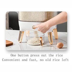 JINYISI Rice Container Home Kitchen Rice Dispenser 10 kg Square Transparent Large Capacity Push Type Automatic Rice Storage Container Kitchen Storage containers