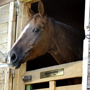 LHS | Horse Stall Name Plate, 2x8 Personalized Stall Signs, UV Protected, All Weather Adhesive, Hanging, Mounting or Other, Plastic with Red Letters | Made in USA - B19