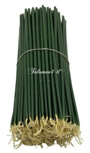 50 natural pure beeswax taper candles 11 inch tall church jerusalem holy land decorative thin candle home decor (green)