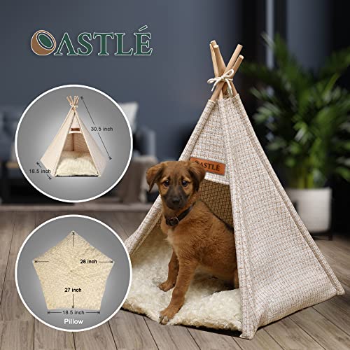 OASTLÉ Dog & Cat Teepee, Small to Medium Pet Teepee Bed with Thick Plush Pad, 27 Inch Tall, Cat Teepee and Dog Tent Bed for Pets Up to 20lbs