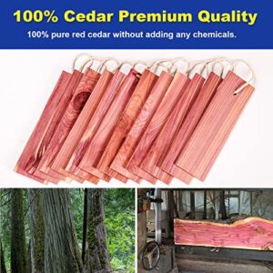 Cedar Blocks for Clothes Storage - 16PCS Premium Cedar Chips, Hangers, Cedar Sachets Bags with 100% Natural Cedar Wood Planks - Used for Closet Freshener, Boxes, Bins and Drawers.