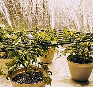 2-Pack Grow Tent Trellis Net for 4x4/5x5 & 4x2 Grow Tents