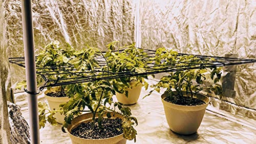 2-Pack Grow Tent Trellis Net for 4x4/5x5 & 4x2 Grow Tents