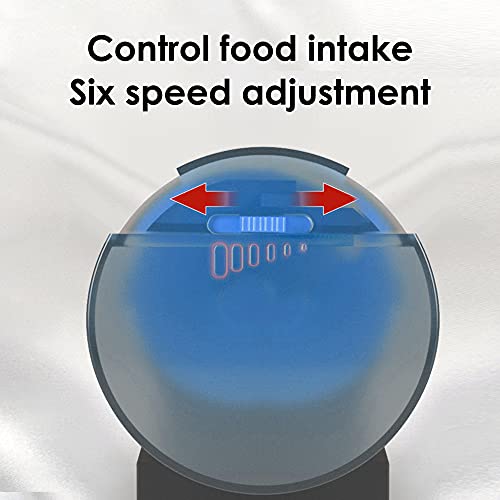 SUNWEN Automatic Fish Feeder with 2 Timer Dispensers, Auto Fish Food Feeder, for Aquarium or Fish Tank, for Vacation or Holidays