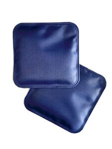 ice pack (pack of 2) replacement for pawise automatic 1 meal feeder and 2 meals feeder