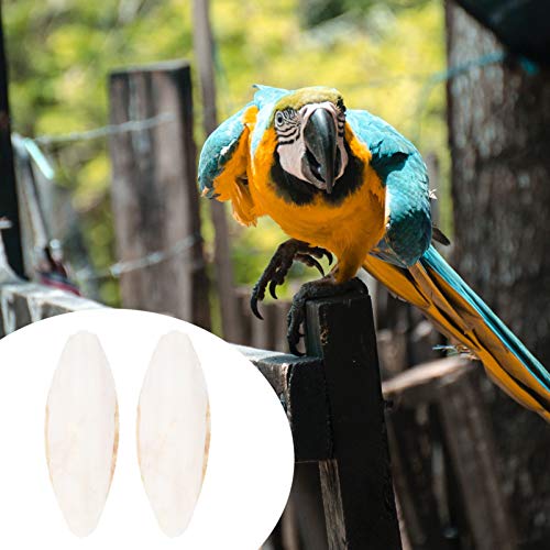 UKCOCO Cuttlebone for Birds, Natural Polished Cuttlebone Bird Training Chew Molar Toy for Budgies Finches Canaries Lovebirds 12pcs-10cm