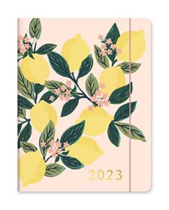 orange circle studio just right 2022-2023 monthly planner - 17-month organizer with full-color monthly views, storage pocket & elastic closure - lemon tree