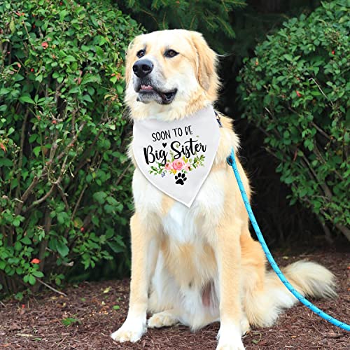 NTKIO Funny White Flower Pattern Cotton Pet Dog Bandana, Soon to Be Big Sister, Pet Dog Pregnancy Announcement, Gender Reveal Photo Prop Triangle Bibs Accessories for Dog Lovers Owner Gift