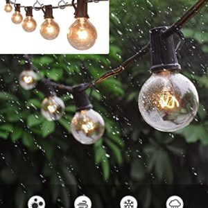 EVISTTER 30 Pack String Light Hooks Outdoor Silver,2.2In Screw-in Hooks for Outdoor String Lights,Q Hanger Hooks Outdoor for Decoration Hanging