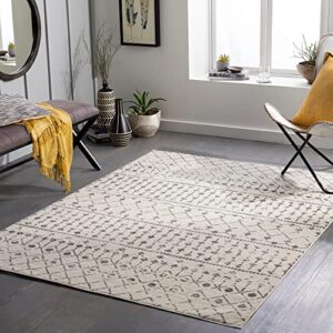 artistic weavers tevazu moroccan boho area rug,7'10" x 10',light grey