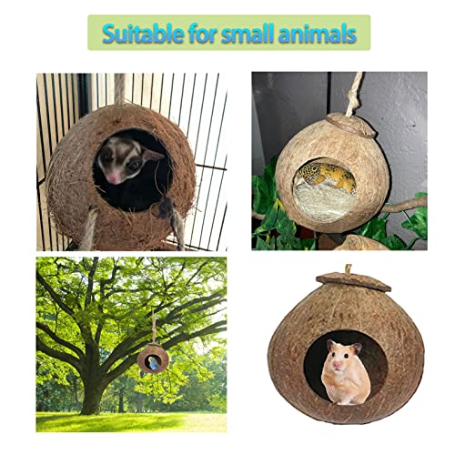 kathson Natural Coconut Shell Bird Nest,Hanging Coco Birds House,Parrots Hide Hut Habitats Decor,Parrot Cage Accessories for Lovebirds Cockatiel Canary Budgies,Feeder Spoon,4 Toy Balls(6 Pcs)