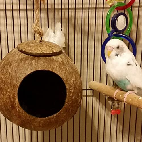 kathson Natural Coconut Shell Bird Nest,Hanging Coco Birds House,Parrots Hide Hut Habitats Decor,Parrot Cage Accessories for Lovebirds Cockatiel Canary Budgies,Feeder Spoon,4 Toy Balls(6 Pcs)