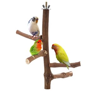 filhome bird perch stand toy, natural wood parrot perch bird cage branch perch accessories for parakeets cockatiels conures macaws finches love birds(9.8" length)