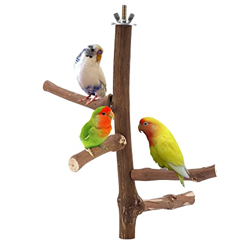 Filhome Bird Perch Stand Toy, Natural Wood Parrot Perch Bird Cage Branch Perch Accessories for Parakeets Cockatiels Conures Macaws Finches Love Birds(9.8" Length)