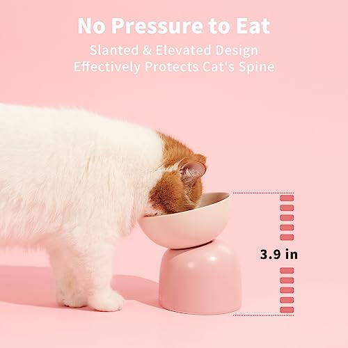 MS!MAKE SURE Cat Bowl, Elevated/Raised Ceramic Cat Food Bowl, Protects Spine, Relieves Whisker Fatigue, Superb Anti-Bacterial, Perfect for Indoor Cats (Green)