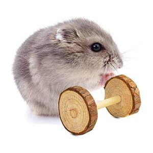 Bipily Hamster Chew Toys 12 Pack Natural Wooden Pet Toy Small Pets Teeth Care