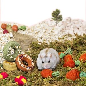 natural organic rabbit treats 12pcs, mushroom, strawberry, donut, lollipop shape molar toys，handmade cage decoration for rabbit/hamster/squirrel/guinea pig and more small animals