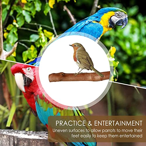 Natural Wood Bird Perches,Natural Wooden Parrot Perch Stand Stick - Parrot Stand Cockatiel Perch Parakeets Toys Bird Supplies Wuwai