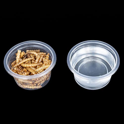 MRTIOO 100pcs 1oz Crested Gecko Food and Water Feeding Cups, Reptile Feeder Bowls, for Lizard and Other Small Pet Ledge Accessories Supplies