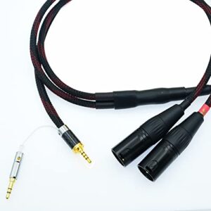 2.5mm trrs to 2 dual xlr male cable balanced audio for astell&kern ak100ii, ak120ii, ak240, ak380, ak320, dp-x1a, fiio x5iii xdp-300r ibasso dx200, kann etc sp1000m sp2000 sr15 se100 kann cube (3ft)