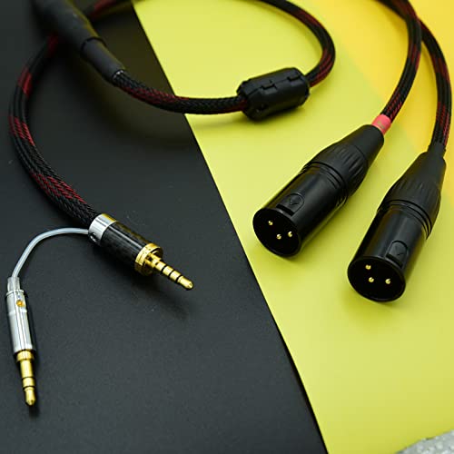 2.5mm Trrs to 2 Dual XLR Male Cable Balanced Audio for Astell&Kern AK100II, AK120II, AK240, AK380, AK320, DP-X1A, FIIO X5III XDP-300R iBasso DX200, KANN etc SP1000M SP2000 SR15 SE100 KANN Cube (3ft)