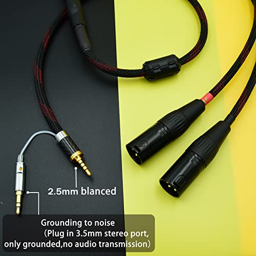 2.5mm Trrs to 2 Dual XLR Male Cable Balanced Audio for Astell&Kern AK100II, AK120II, AK240, AK380, AK320, DP-X1A, FIIO X5III XDP-300R iBasso DX200, KANN etc SP1000M SP2000 SR15 SE100 KANN Cube (3ft)