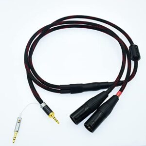 2.5mm Trrs to 2 Dual XLR Male Cable Balanced Audio for Astell&Kern AK100II, AK120II, AK240, AK380, AK320, DP-X1A, FIIO X5III XDP-300R iBasso DX200, KANN etc SP1000M SP2000 SR15 SE100 KANN Cube (3ft)