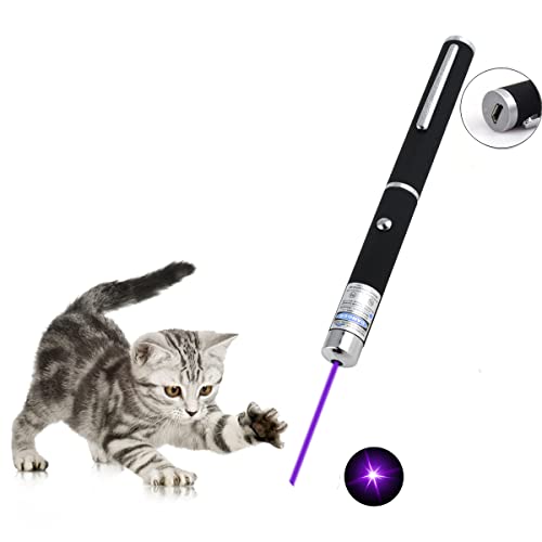 CHUQIANTONG Laser Pointer for Cats Toys USB Rechargeable Pet Interactive Toys with Purple Pointer Remotes for Indoor Classroom Interactive Teaching (Purple, USB 1 Pack)