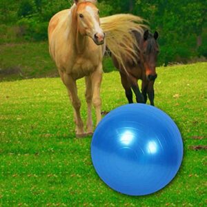 Chyesong Horse Ball Training Toy, Anti-Burst Horse Exercise Ball Toy with Inflator Pump for Horse Lamb Goat Enterainment Toy Ball (22 Inch, Blue)