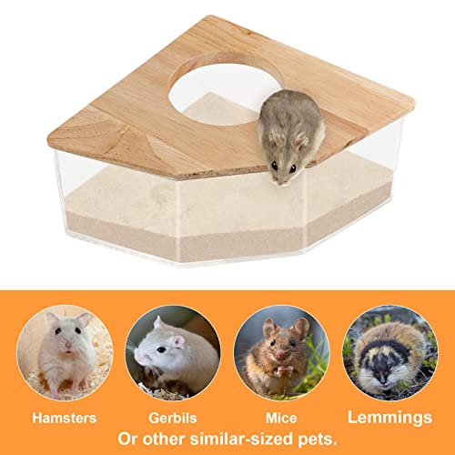 Chngeary Hamster Sand Bath Box Large, Transparent Acrylic Sand Bath Container & Hamster Bathroom, House and Accessories for Hamsters Gerbils Lemming…(Sector)