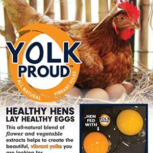 Kalmbach Feeds 17% All Natural Layer Pellet for Egg Laying Chickens, 10 lb Bag