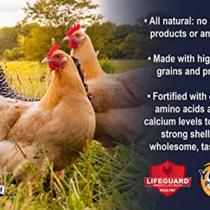 Kalmbach Feeds 17% All Natural Layer Pellet for Egg Laying Chickens, 10 lb Bag