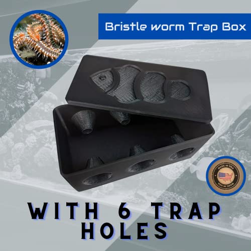 Bristle Worm Trap Saltwater Aquarium, Sinking Bristle Worm Trap Box, Bristle Worm Catcher Aquarium Saltwater Aquarium Black Unique