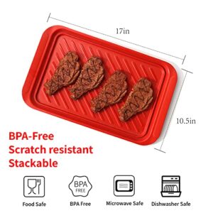 TP Serving Trays with Handles, BMC Grill Prep and Serving Platters for Outdoor, Parties and BBQ, Microwable Dishwasher Oven Safe Food Tray, Set of 2, Black and Red(17” x 10.5”)